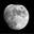 The Moon (Ultimate Ginger Repelent)